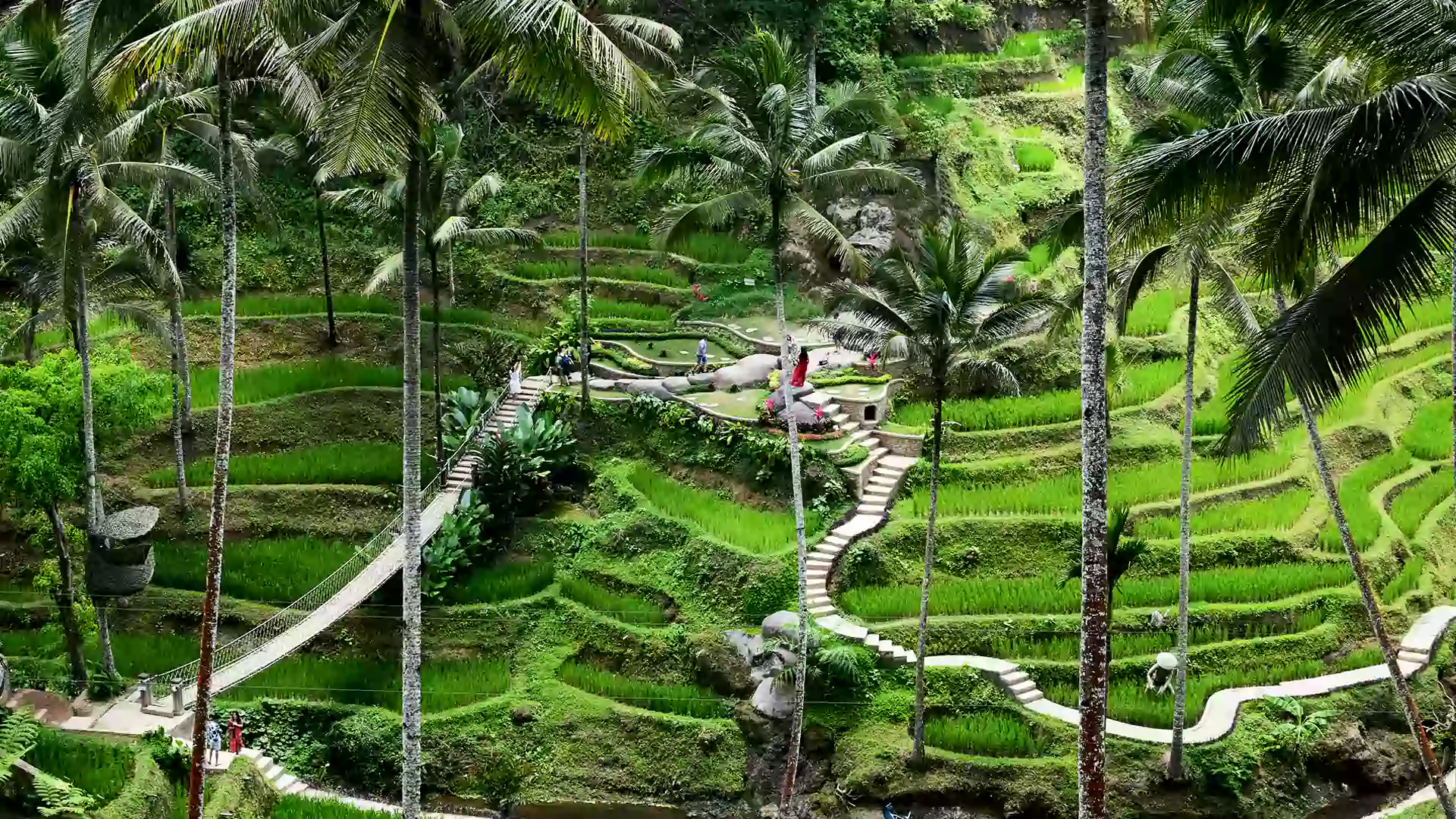 wisata Bali dengan anak di sawah terasering Tegalalang Ubud, keluarga jalan-jalan di antara sawah hijau yang indah
