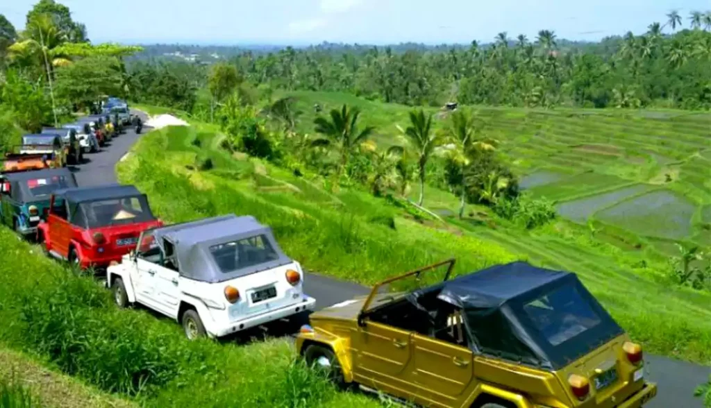 VW Safari Tour-Bali Tour Package-6 days-5 days